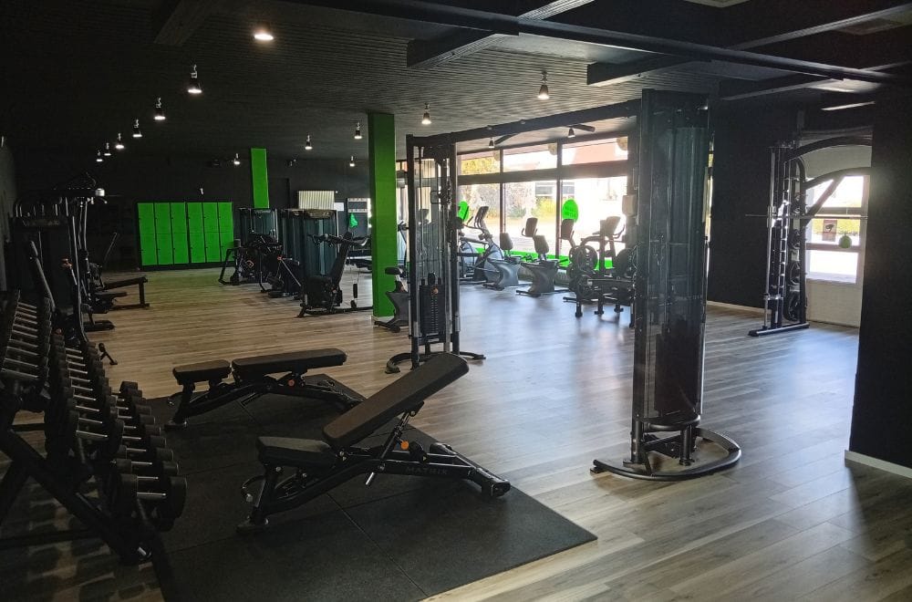 fitnessstudio-fitplus-auenheim-freihanteln